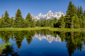 Картинка природа реки озера горы лес река