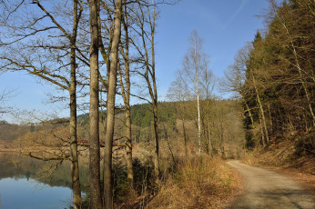 Картинка природа дороги лес река дорожка