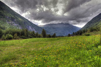 Картинка природа луга горы долина трава цветы