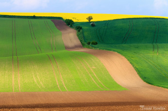 Картинка природа поля Чехия южноморавский край весна небо