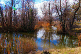 Картинка природа реки озера лес река