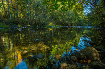 Картинка природа реки озера лес река