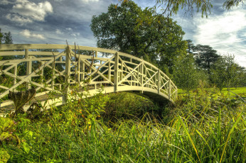 Картинка природа реки озера лето мост трава река
