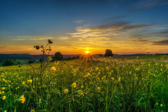 Картинка природа восходы закаты рассвет луг