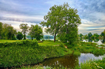 Картинка природа реки озера лес река