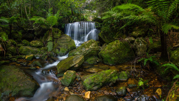 Картинка природа водопады водопад река лес