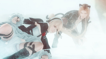 обоя видео игры, dead or alive 5, поза, фон, взгляд, девушки