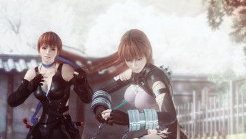 Картинка видео+игры dead+or+alive+5 поза фон взгляд девушки