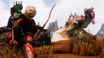 Картинка видео+игры the+elder+scrolls+v +skyrim взгляд девушка дракон кровь лук фон