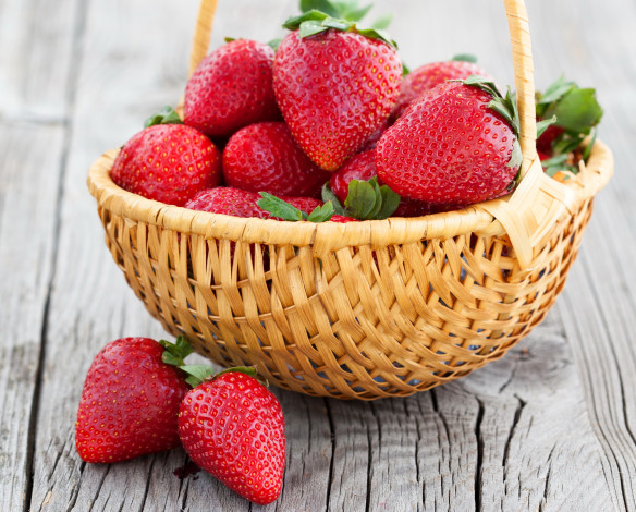 Обои картинки фото еда, клубника,  земляника, много, корзинка