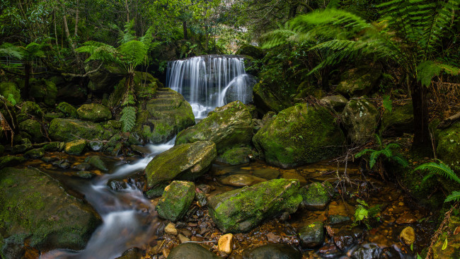 Обои картинки фото природа, водопады, водопад, река, лес