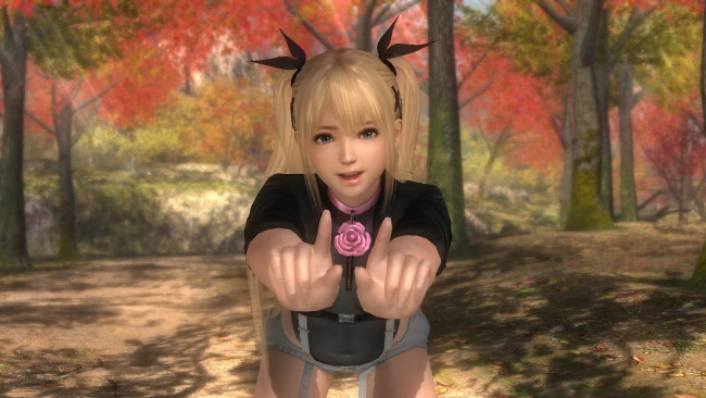 Обои картинки фото видео игры, dead or alive 5, персонаж