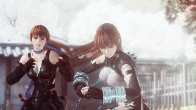 Обои картинки фото видео игры, dead or alive 5, поза, фон, взгляд, девушки