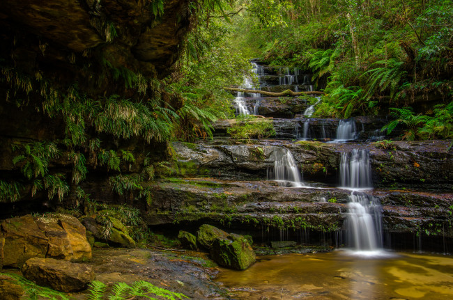 Обои картинки фото природа, водопады, водопад, река, лес