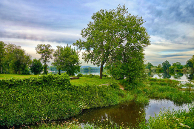 Обои картинки фото природа, реки, озера, лес, река