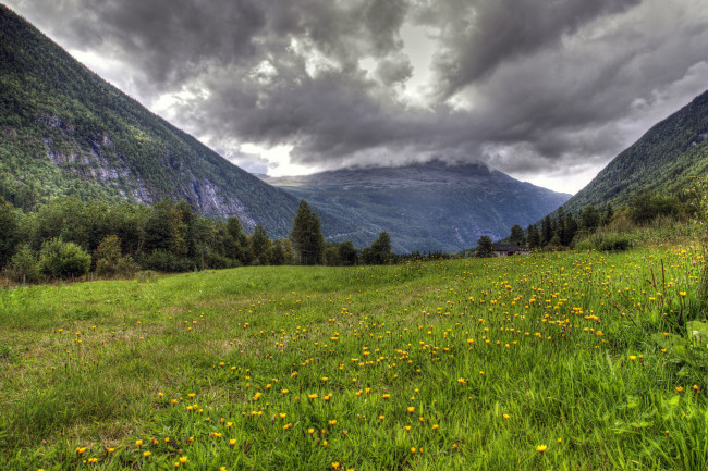 Обои картинки фото природа, луга, горы, долина, трава, цветы