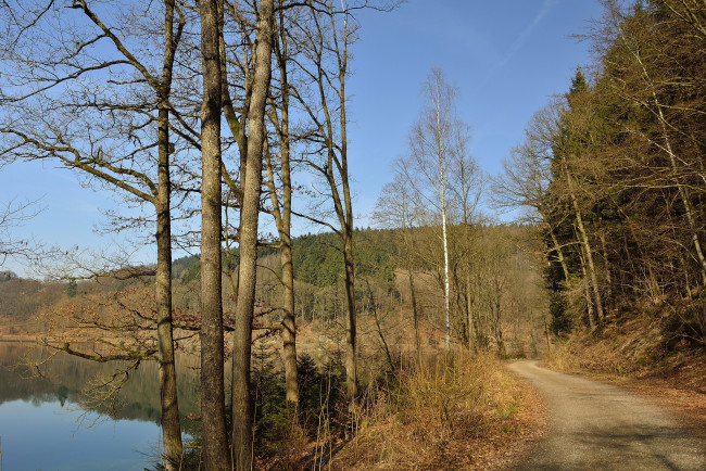 Обои картинки фото природа, дороги, лес, река, дорожка