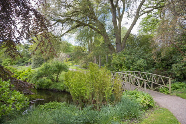 Обои картинки фото природа, дороги, лес, река, мостик