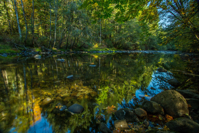 Обои картинки фото природа, реки, озера, лес, река