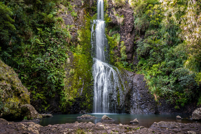 Обои картинки фото природа, водопады, лес, река, водопад