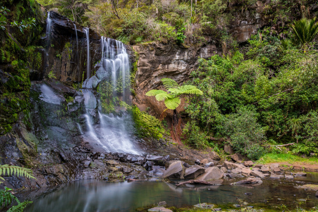 Обои картинки фото природа, водопады, лес, река, водопад