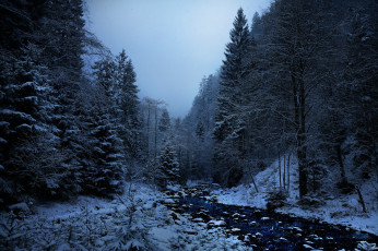 Картинка природа реки озера лес река