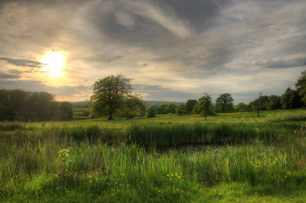 Картинка природа пейзажи простор