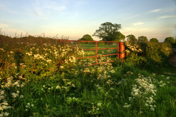 Картинка природа пейзажи простор