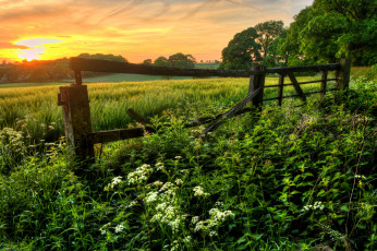 Картинка природа пейзажи простор