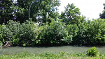 Картинка природа реки озера весна май пейзаж