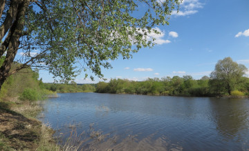 Картинка природа реки озера деревья река