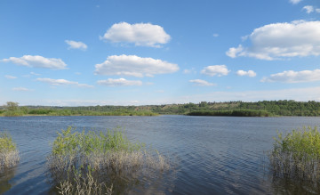 Картинка природа реки озера река деревья