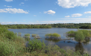 Картинка природа реки озера деревья река