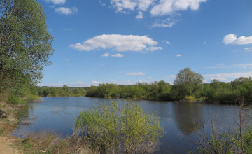 Картинка природа реки озера деревья река