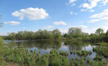 Картинка природа реки озера деревья река