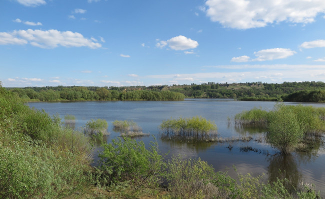 Обои картинки фото природа, реки, озера, деревья, река