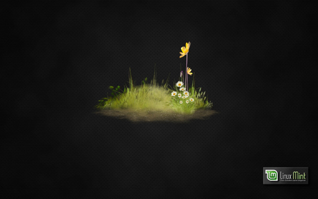 Обои картинки фото компьютеры, linux, фон, логотип