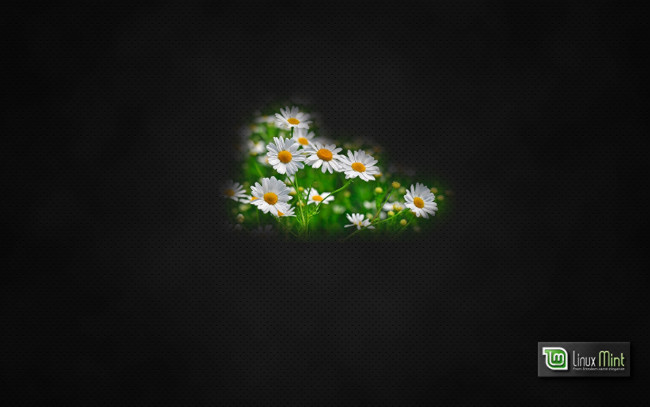 Обои картинки фото компьютеры, linux, фон, логотип