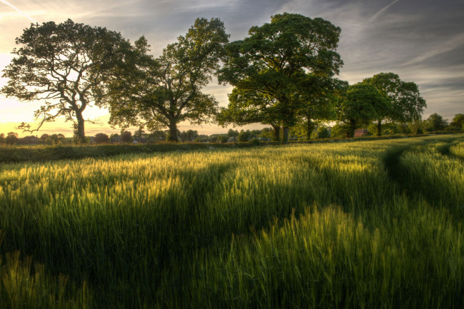 Обои картинки фото природа, пейзажи, простор