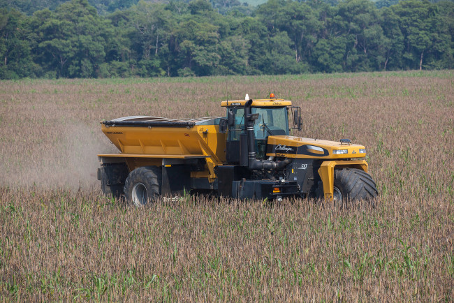 Обои картинки фото техника, тракторы, challenger