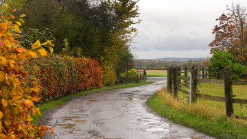 Картинка природа дороги осень дорога деревья лес