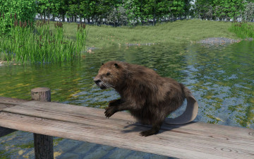 Картинка 3д+графика животные+ animals зверек