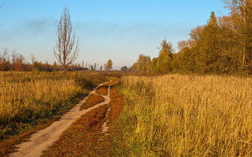 Картинка природа дороги дорога