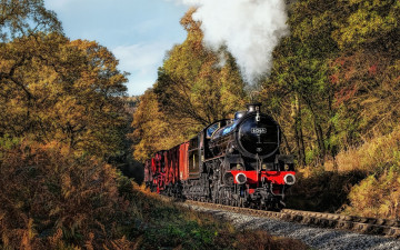 Картинка техника паровозы локомотив паровоз