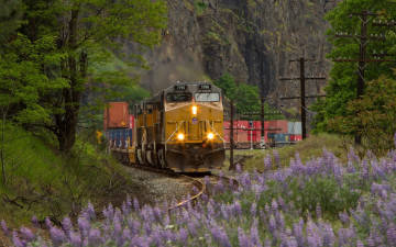 Картинка техника паровозы поезд паровоз