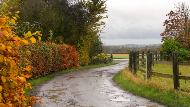 Обои картинки фото природа, дороги, осень, дорога, деревья, лес