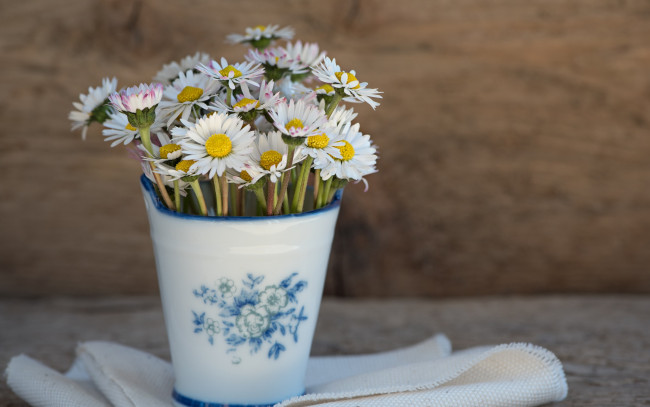 Обои картинки фото цветы, маргаритки, wood, ваза