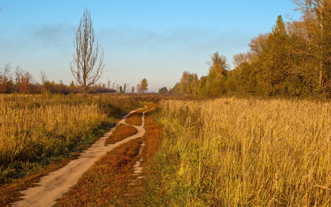 Обои картинки фото природа, дороги, дорога