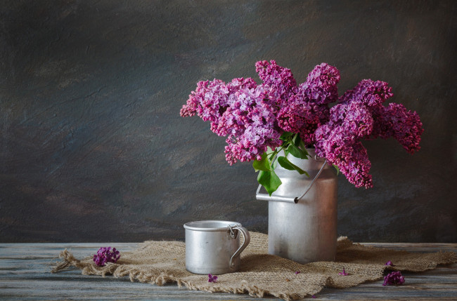 Обои картинки фото цветы, сирень, лиловый