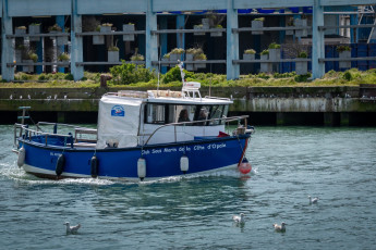 обоя a boat for transporting divers, корабли, катера, a, boat, for, transporting, divers